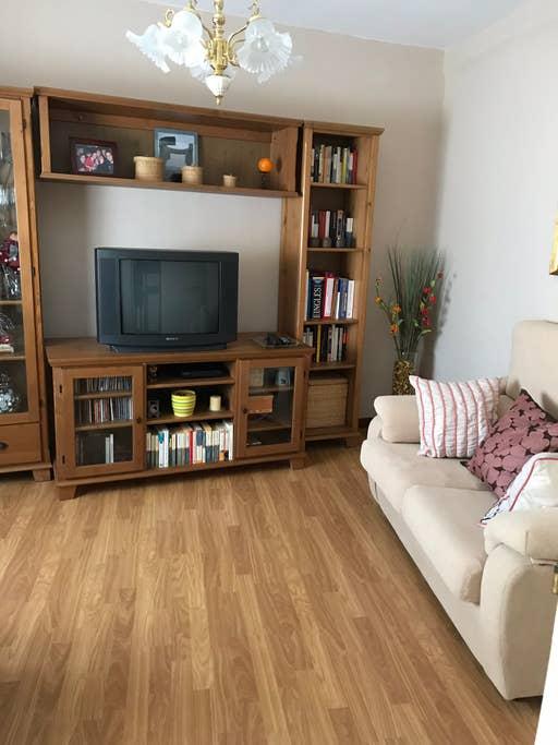 Pet Friendly Almazan Airbnb Rentals