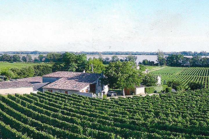 Pet Friendly 1BR House in the Heart of Côtes de Bourg Vineyard