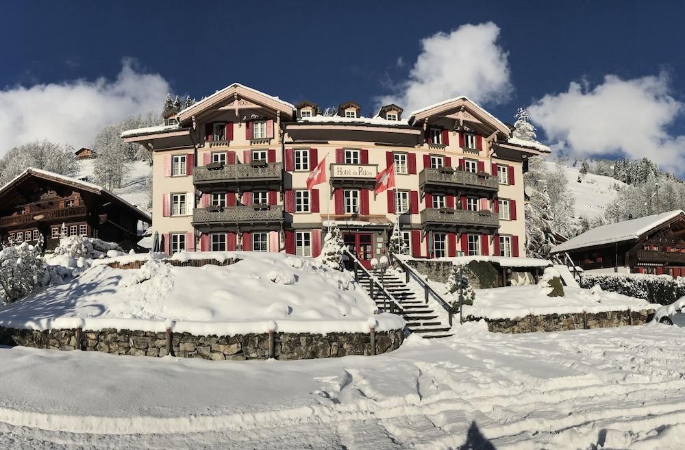 Pet Friendly Swiss Historic Hotel du Pillon
