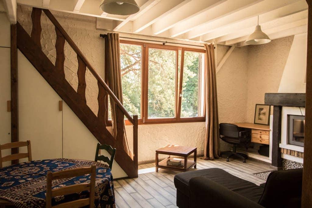 Pet Friendly Samois sur Seine Airbnb Rentals
