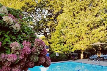 Pet Friendly Hotels In Dennis Ma Bringfido