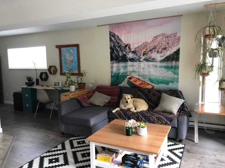Pet Friendly Furry Creek Airbnb Rentals