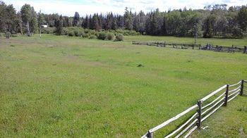 Attwood Creek Ranch Pet Policy