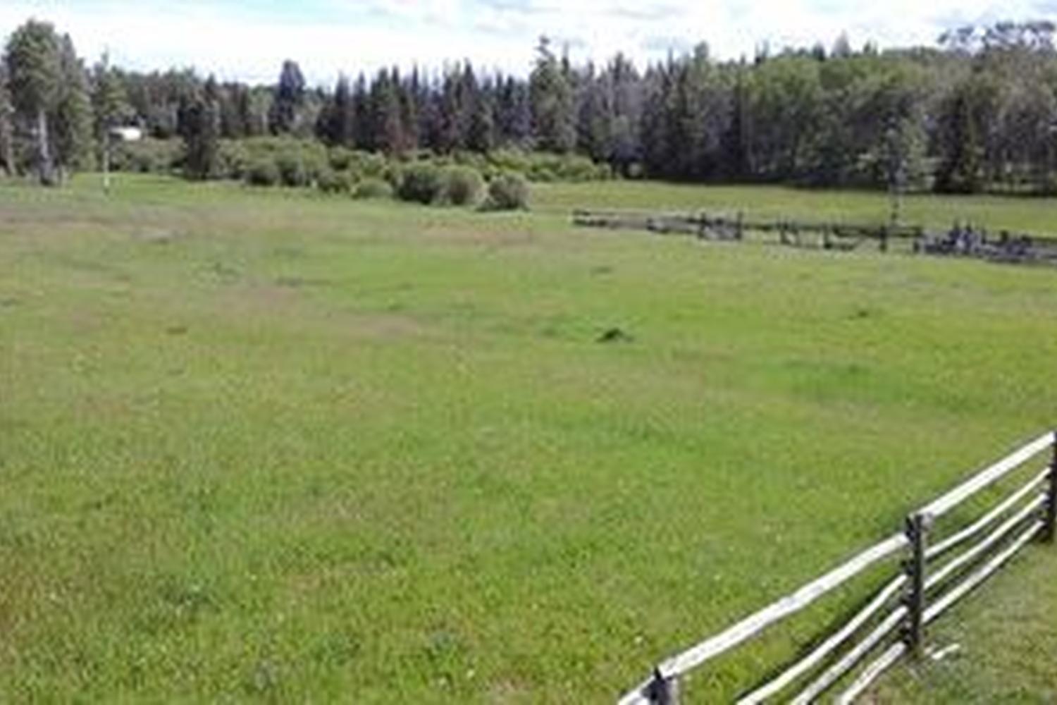 Attwood Creek Ranch British Columbia Canada Attwood Creek Ranch Pet Policy