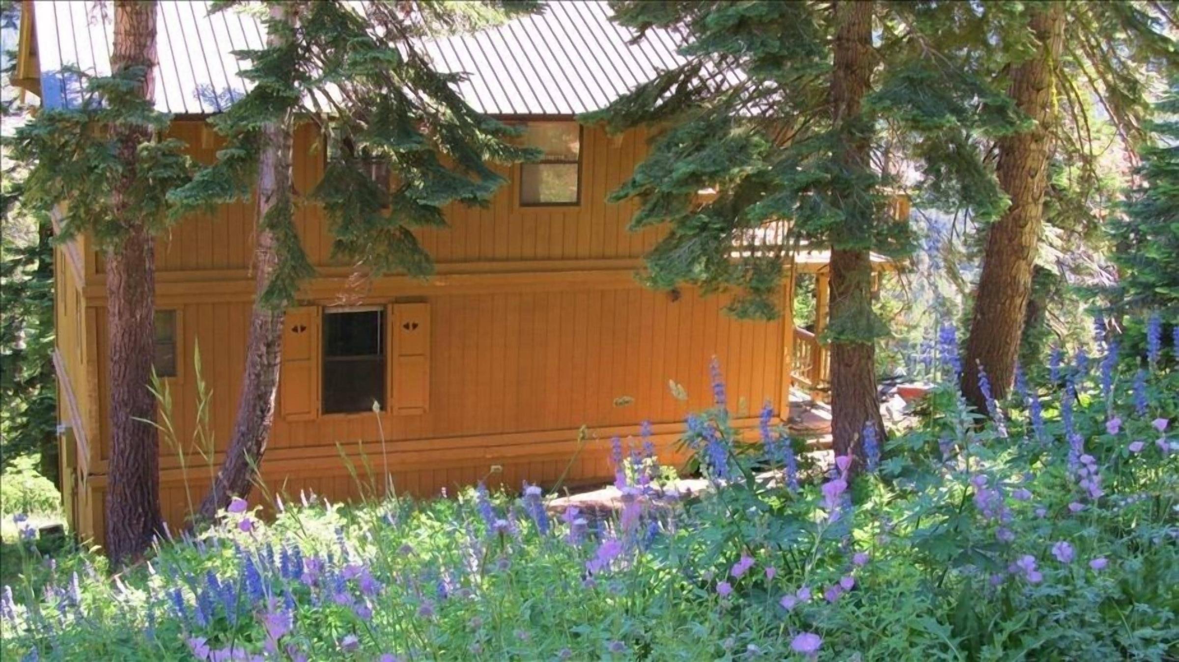 Pet Friendly Loretta Bear Vacation Cabin