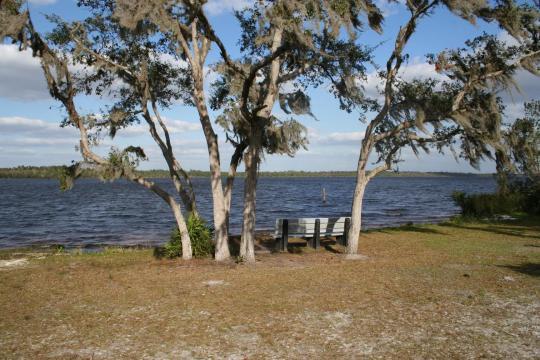 Lake Manatee State Park Campground Pet Policy