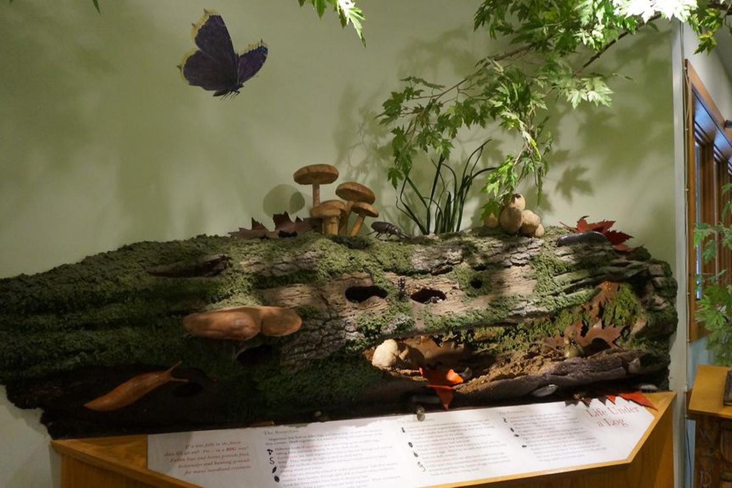 The John H Goodman House Pet Policy The John H Goodman House Pet Policy