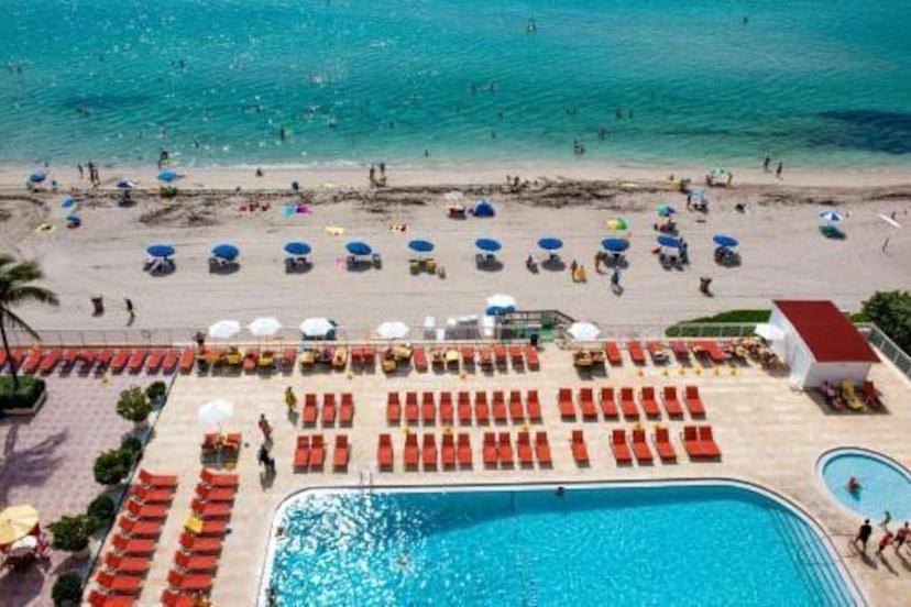 designinterp Miami Beach Fl Hotels Pet Friendly