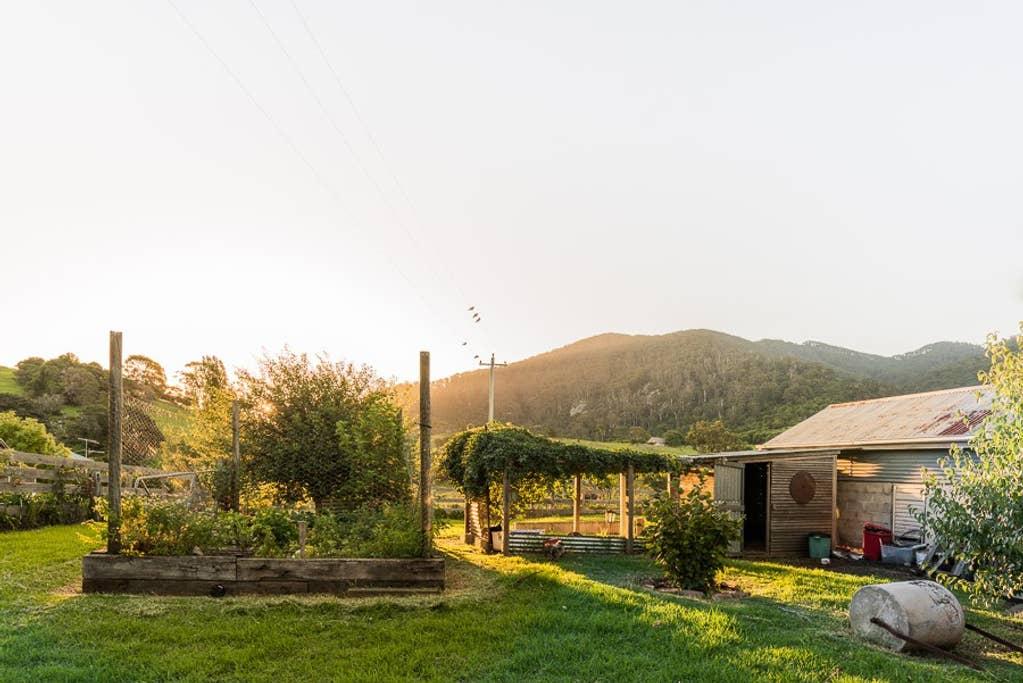 Narooma Airbnb Rentals Pet Policy
