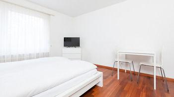 Pet Friendly Vacation Rentals In Switzerland Bringfido