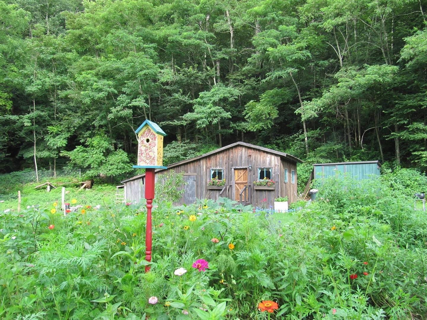 Pet Friendly Vacation Rentals In Seneca Rocks Wv Bringfido