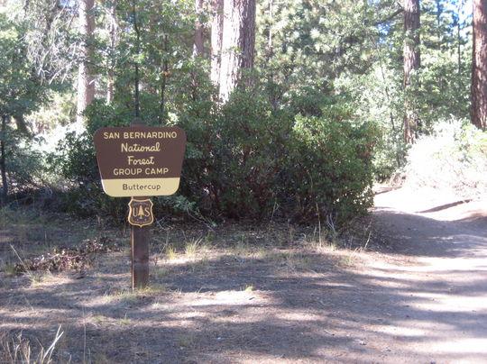 Pet Friendly Buttercup Group Camp Campground