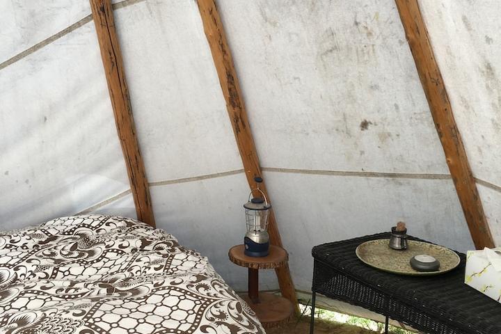 Pet Friendly Tipi With Wood Floor