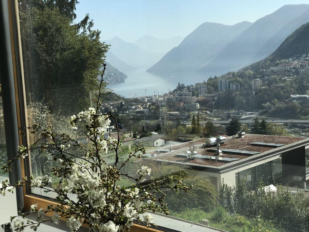 Pet Friendly Sunny Living in Ticino