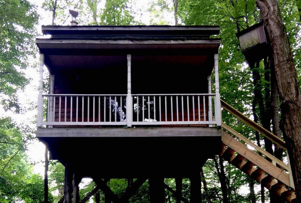Pet Friendly Lost Creek Airbnb Rentals
