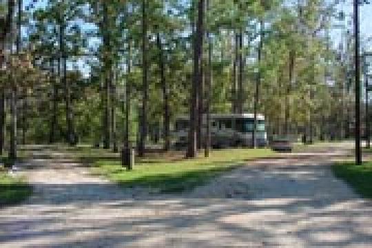 Sam Houston Jones State Park Campground Pet Policy