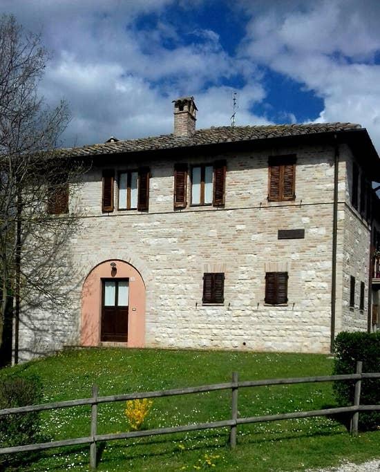 Pet Friendly San Marino Airbnb Rentals
