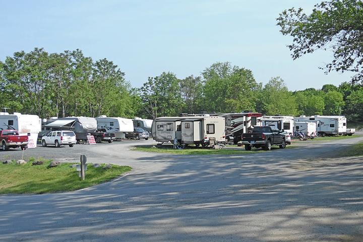 Pet Friendly Black Bear Campground