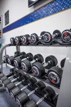 Hampton By Hilton Istanbul Zeytinburnu Pet Policy