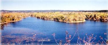 Pet Friendly Vacation Rentals In Island Park Id Bringfido