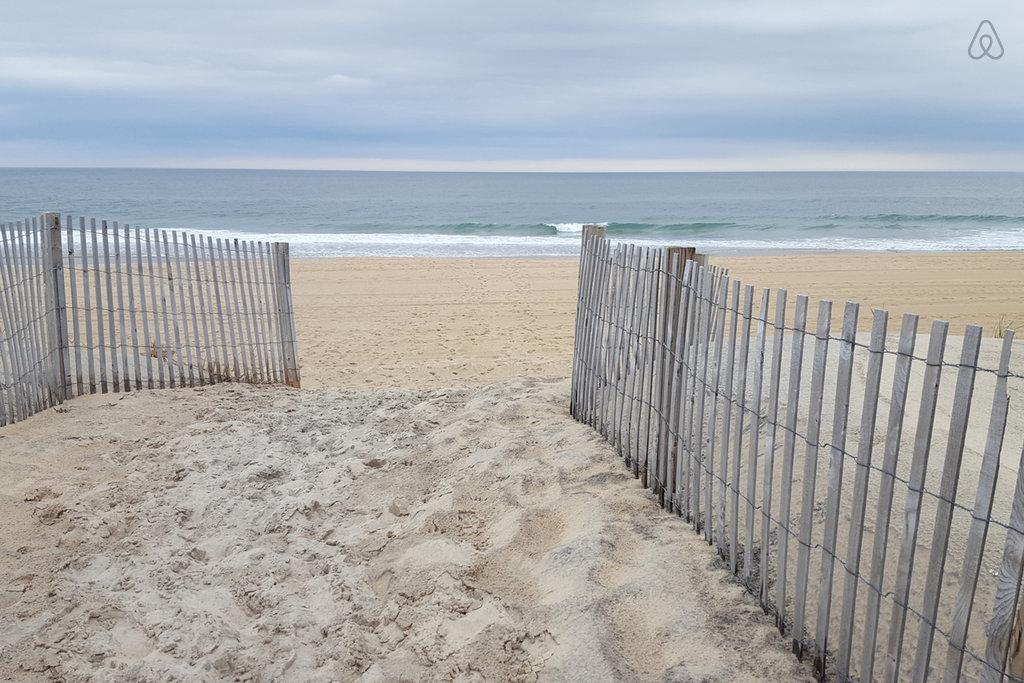 Pet Friendly Vacation Rentals In North Ocean City Md Bringfido