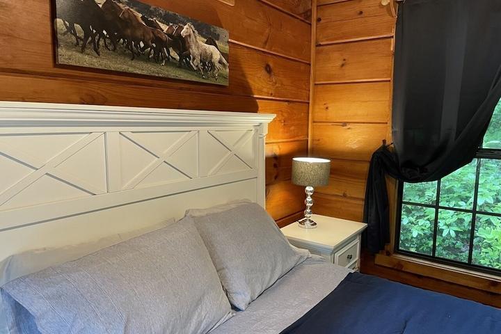 Pet Friendly Cozy Secluded Cabin 211 with Private Hot Tub