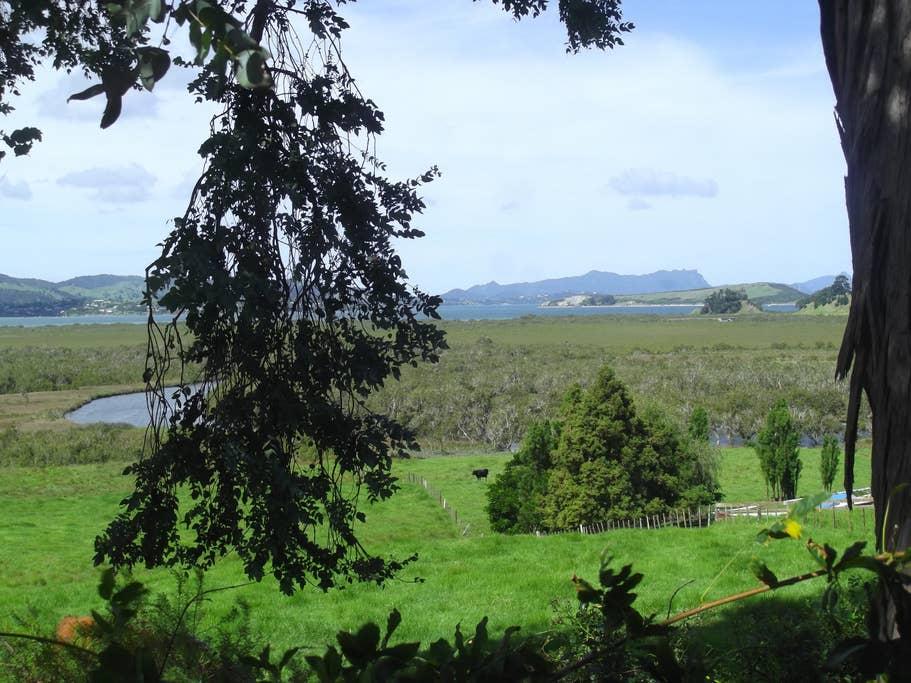 Whangarei Airbnb Rentals Pet Policy