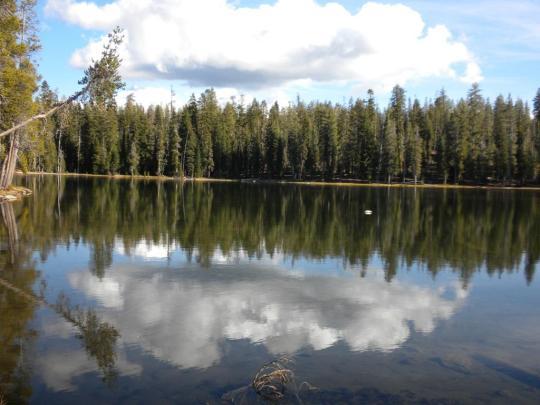 Pet Friendly Summit Lake South Campground
