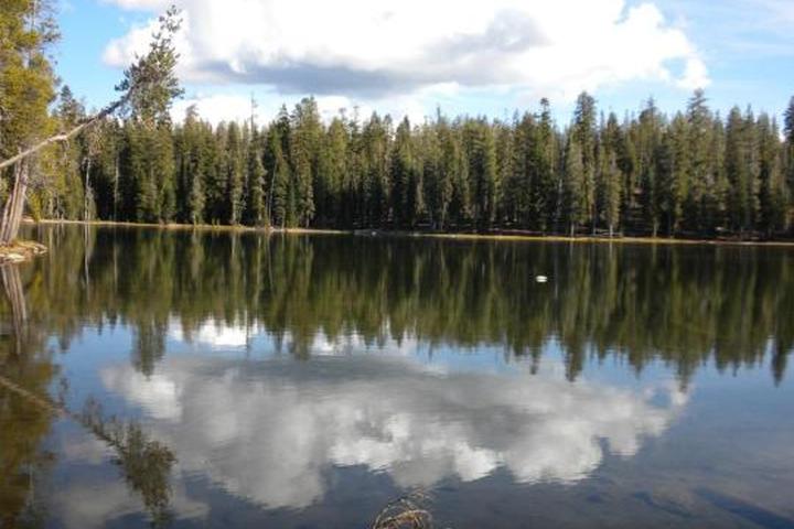 Pet Friendly Summit Lake South Campground