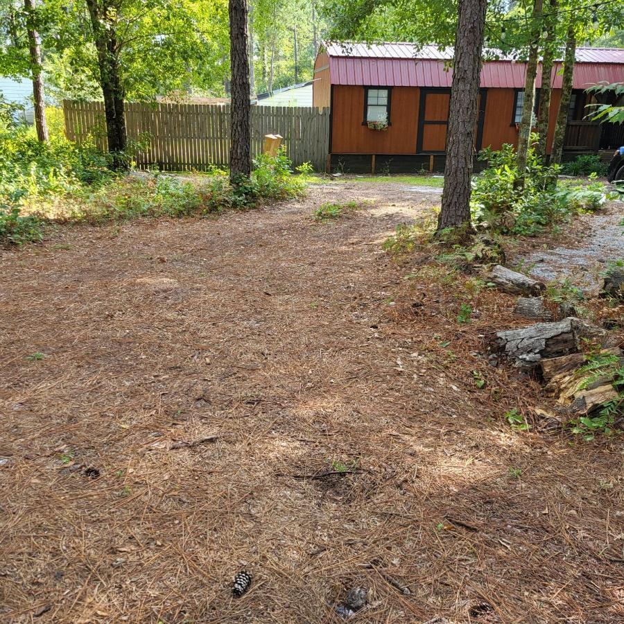 Pet Friendly Fern Gully Cabin