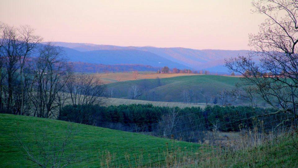 Pet Friendly Hotels In Dublin Va - Bringfido