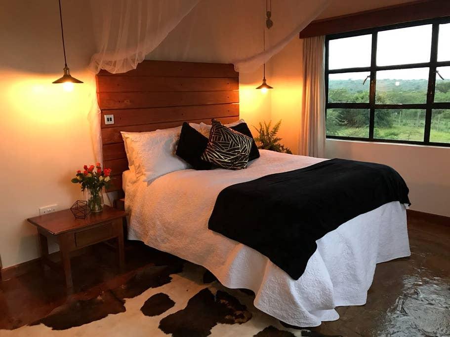 Pet Friendly Nakuru Airbnb Rentals