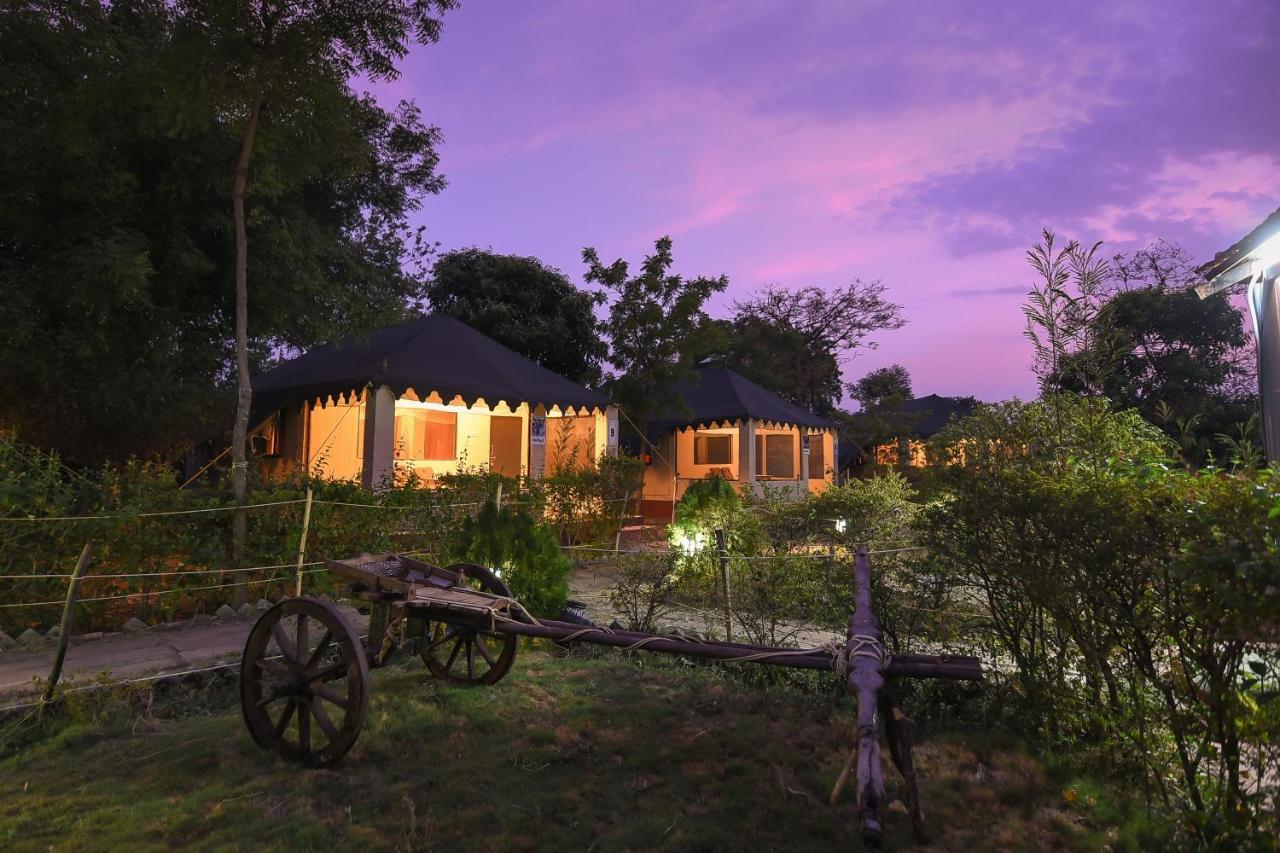 Pet Friendly Camp Serai Tiger TADOBA