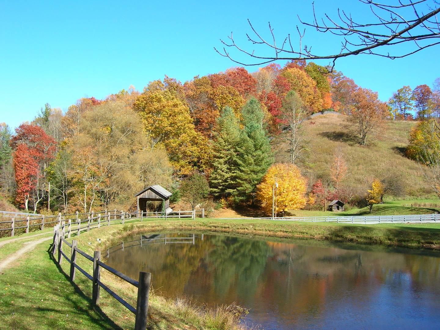 Cabin On 6 Acres Views Hot Tub Pet Policy