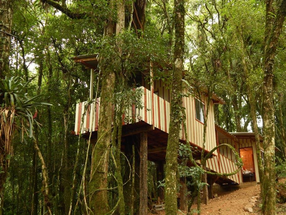 Pet Friendly Tijucas do Sul Airbnb Rentals