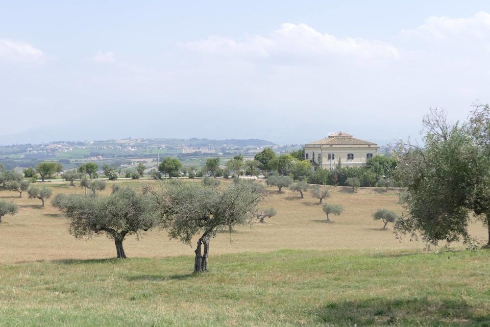 Pet Friendly Agriturismo La Nora