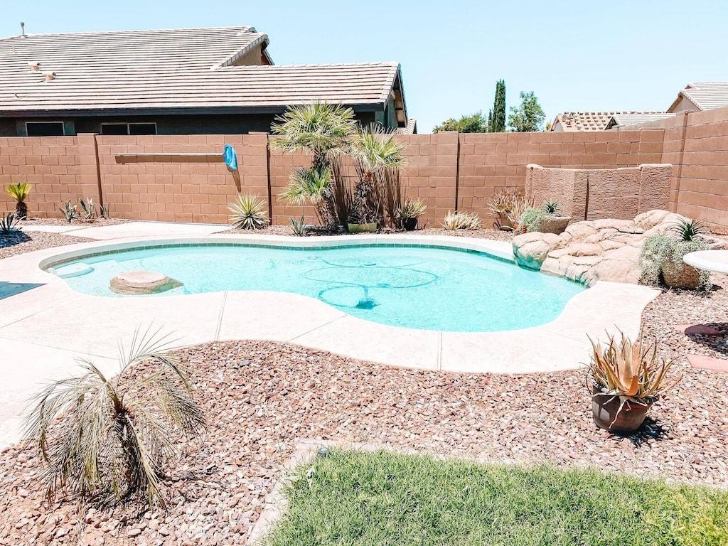 Goodyear Super Bowl Spring Training Pet Friendly Pet Policy