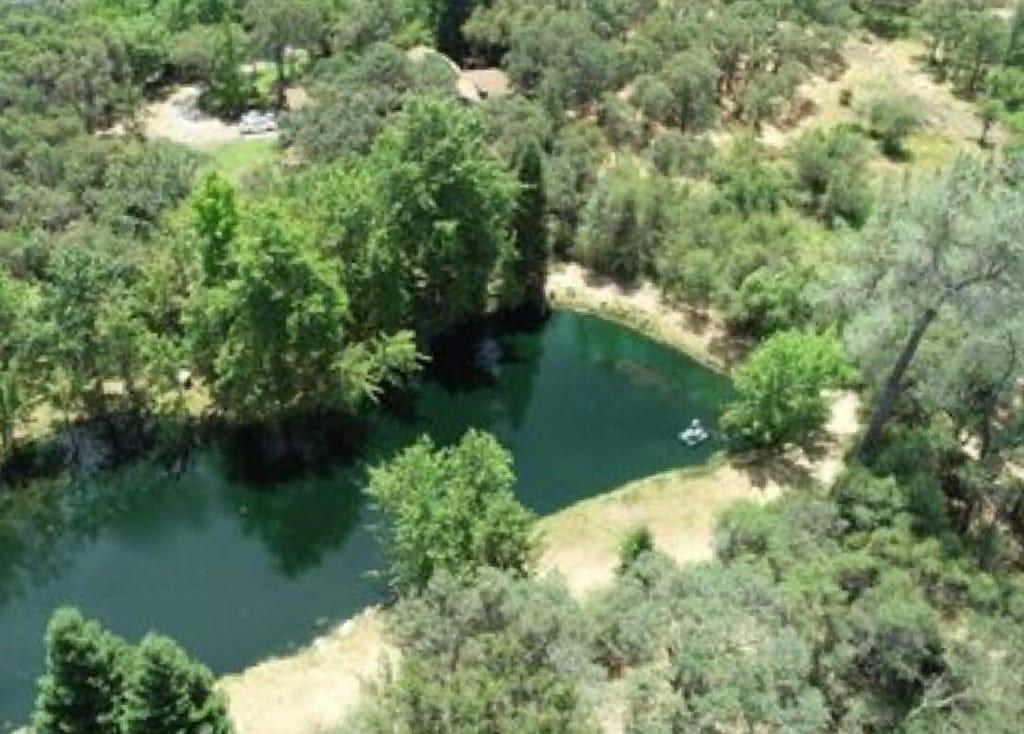 Pet Friendly Hotels In Granite Bay Ca - Bringfido