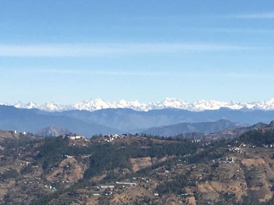 Pet Friendly Shimla Airbnb Rentals