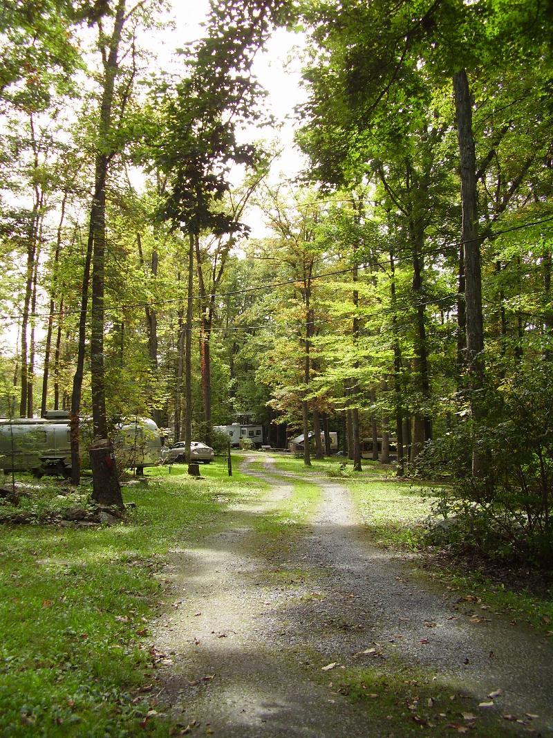 Pet Friendly Yellow Creek Campground