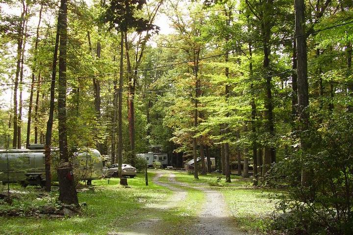 Pet Friendly Yellow Creek Campground