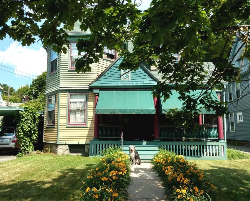 New Milford Airbnb Rentals Pet Policy