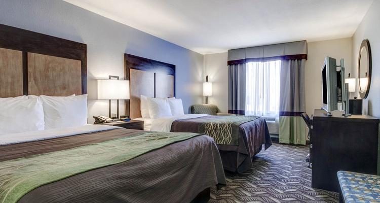 Comfort Inn Suites I 10 Airport Pet Policy