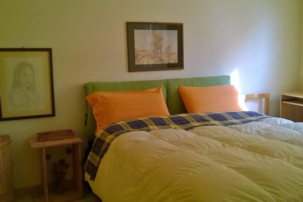Pet Friendly Narbolia Airbnb Rentals
