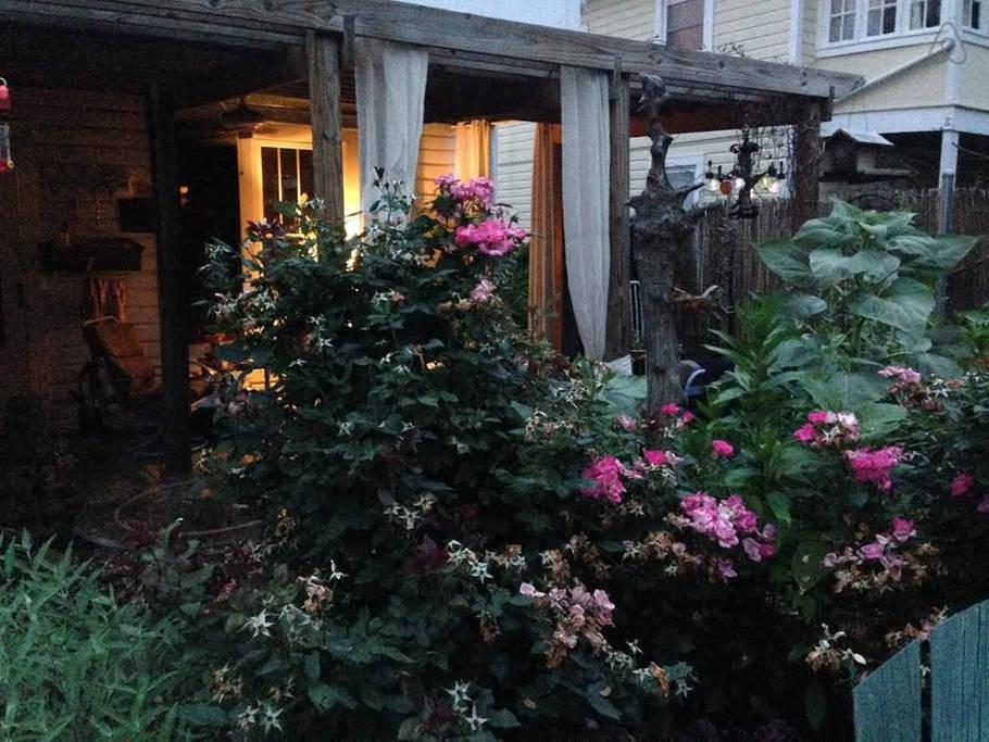Staunton Airbnb Rentals Pet Policy