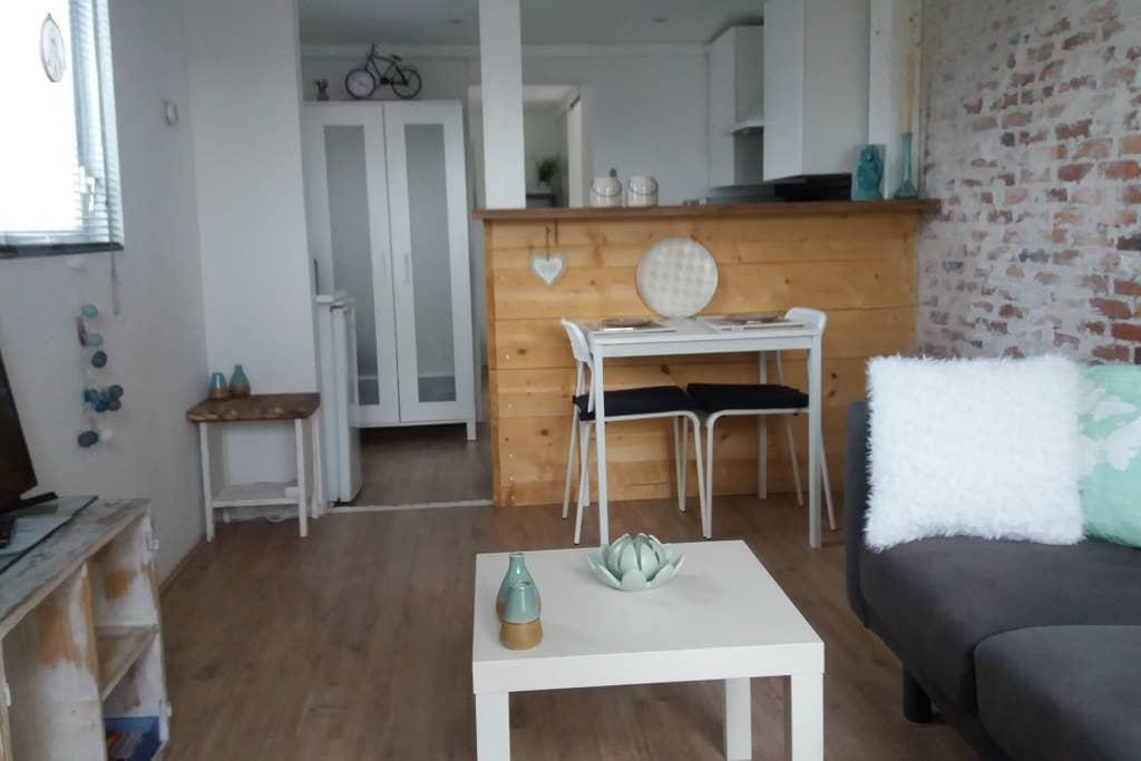 Pet Friendly Heemskerk Airbnb Rentals