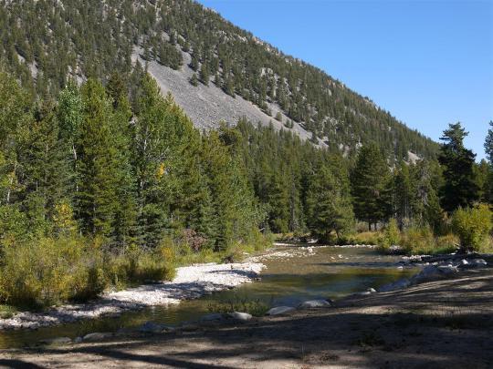 Cascade Campground Pet Policy