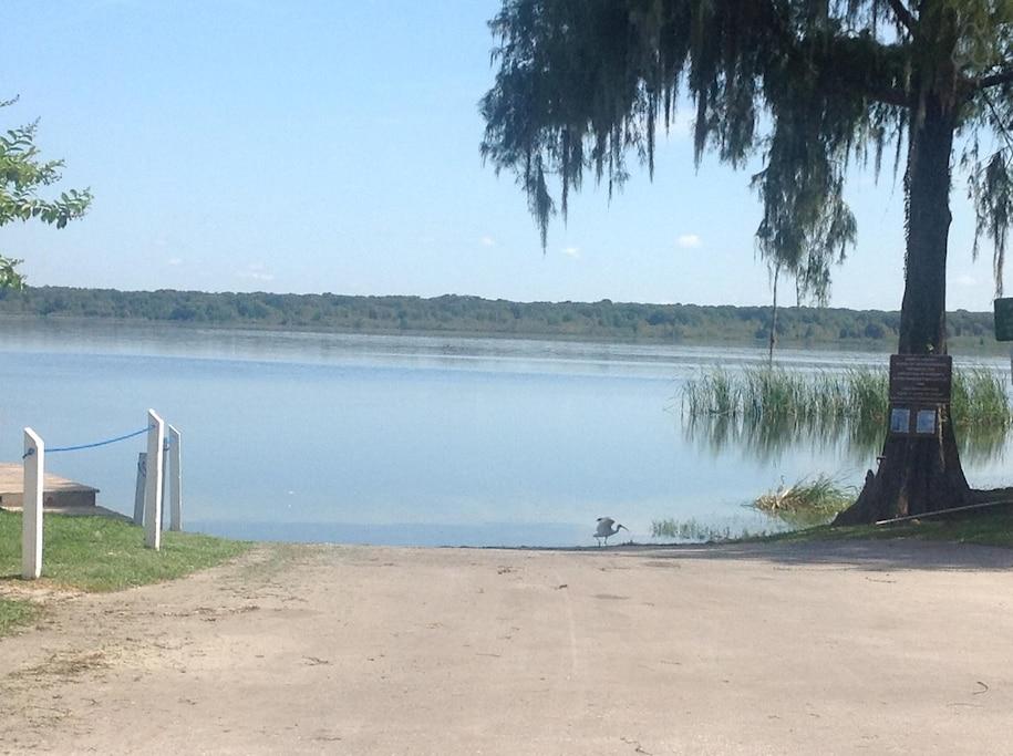 Lake Panasoffkee Airbnb Rentals Pet Policy