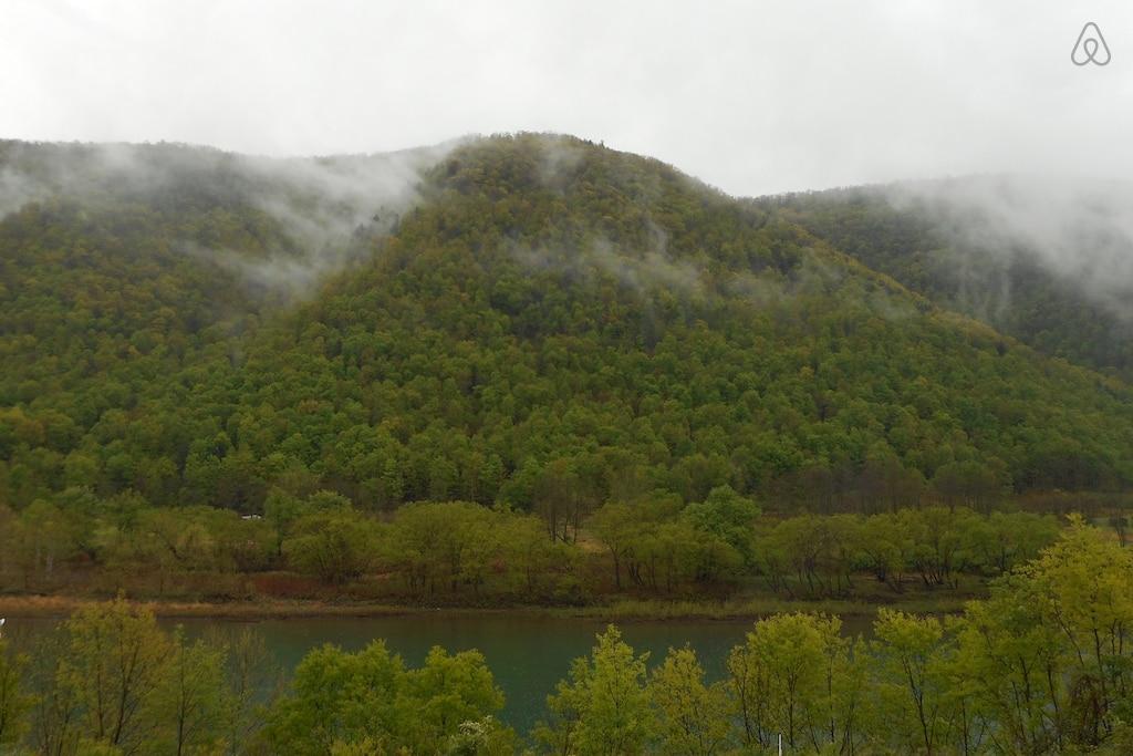 Cammal Airbnb Rentals Pet Policy