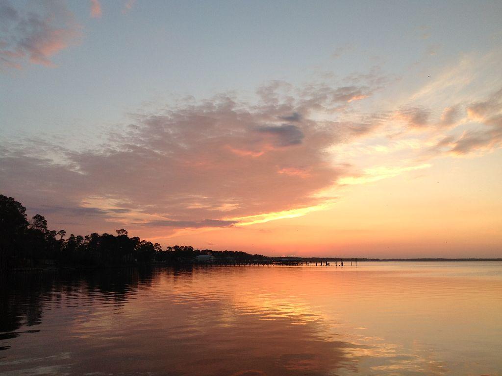 Pet Friendly Vacation Rentals In Orange Beach Al Bringfido